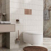 Dinkel 58TLT.010.ME.RG04 Система инсталляции для унитазов