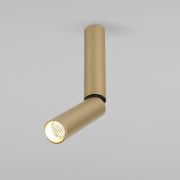 Накладной поворотный светодиодный светильник Pika 25029/LED 6W 4200K латунь